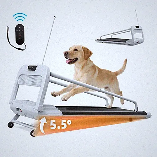 Laufband Hundelaufband Elektrisch Klappbar Hundetraining Profi Leise