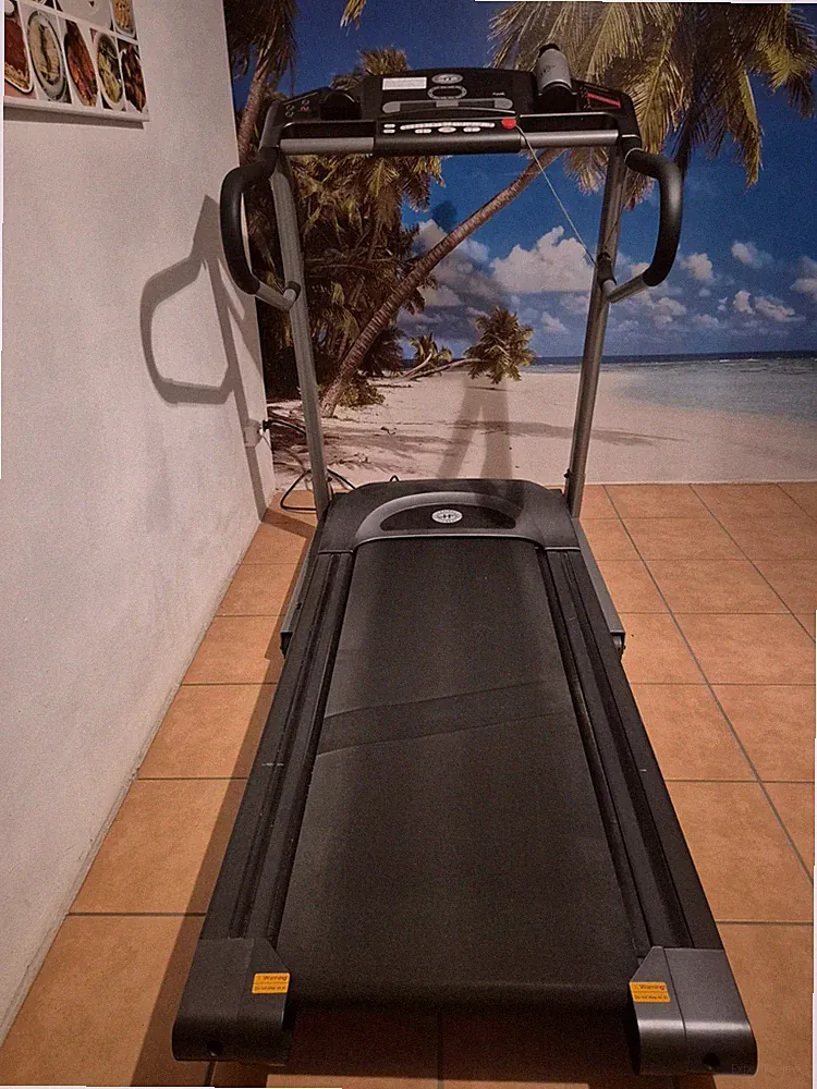 Laufband plus Hantelset, Horizon OMEGA CS 2 gebraucht